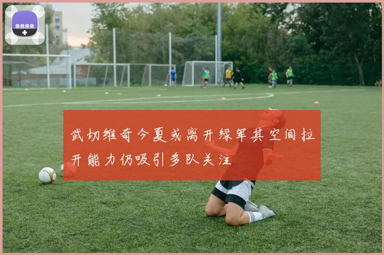 武切维奇今夏或离开绿军其空间拉开能力仍吸引多队关注